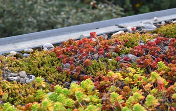 the cost of Broadgrass Green green roof installation