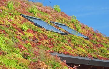 Broadgrass Green living roof systems