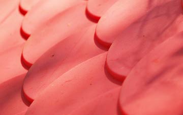 Broadgrass Green plastic roof costs