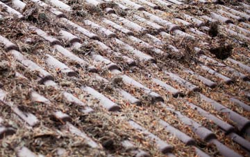 Broadgrass Green roof cleaning companies