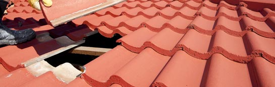 compare Broadgrass Green roof repair quotes