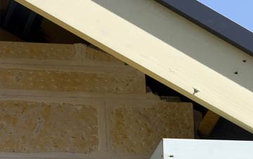 soffit repair Broadgrass Green