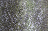 Broadgrass Green fibreglass roof work